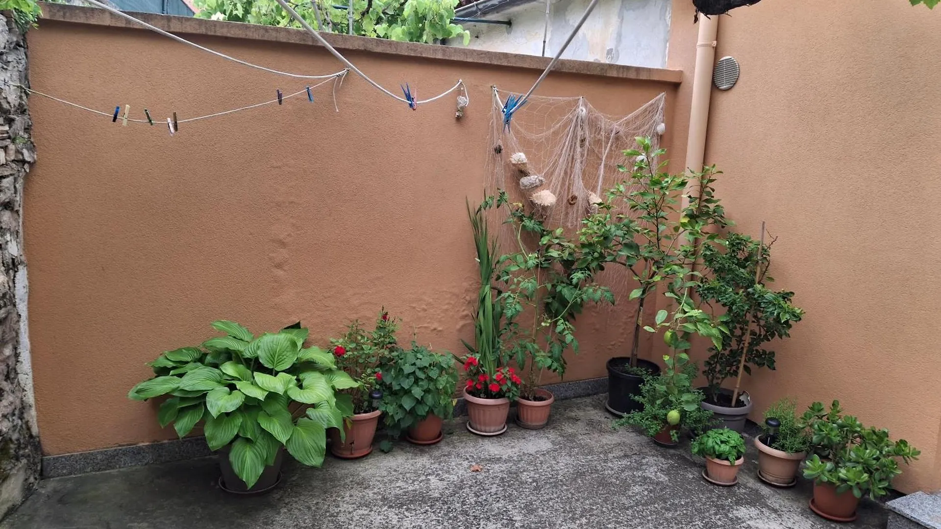 Apartman Anthony Pula Croatia